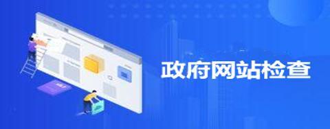 政府網(wǎng)站檢查